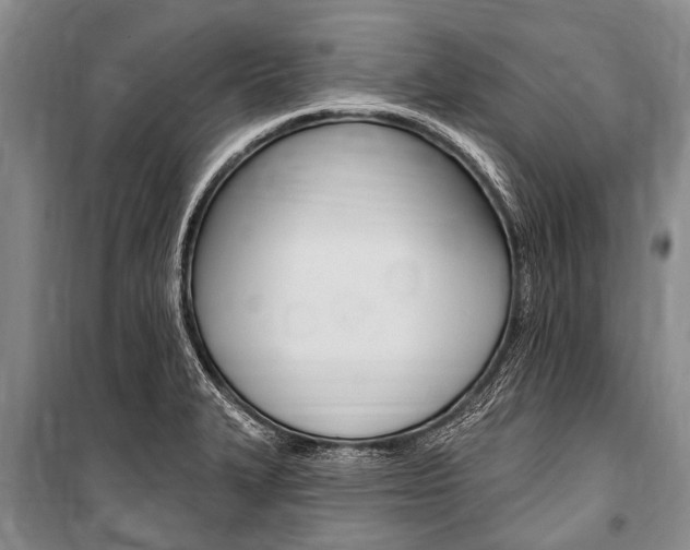 X0000101151327200806270751