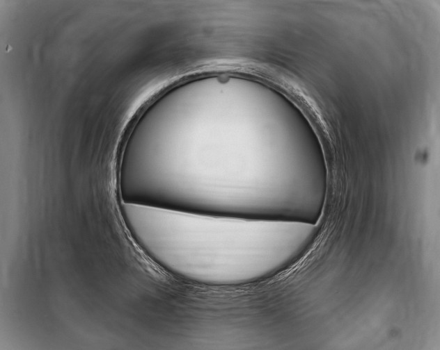 X0000101151328200806270751