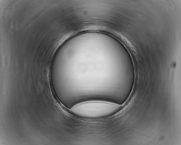 X0000101151329200806270751