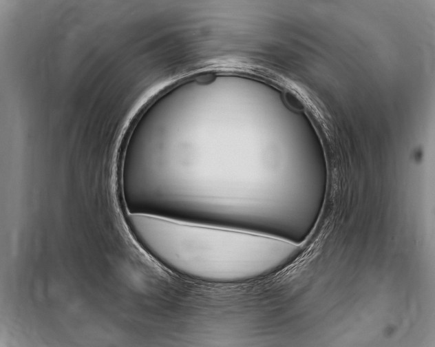 X0000101151331200806270751