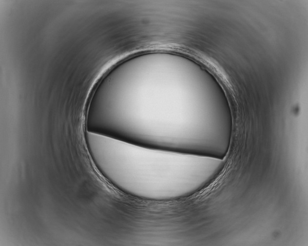 X0000101151332200806270751