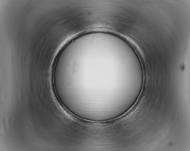 X0000101151333200806270751