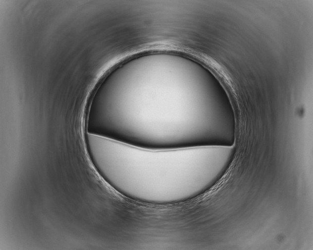 X0000101151334200806270751