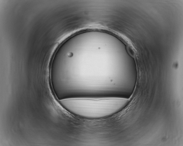 X0000101151335200806270751