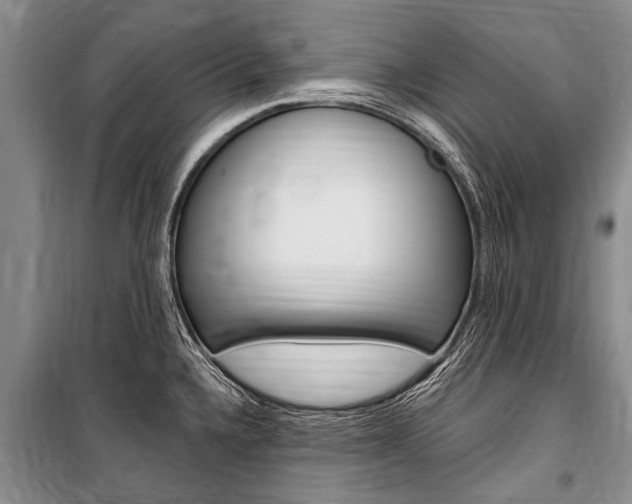 X0000101151336200806270751