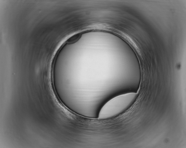 X0000101151339200806270751