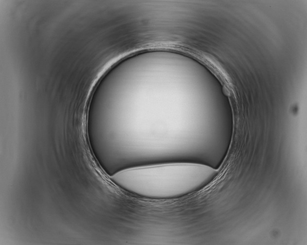 X0000101151340200806270751