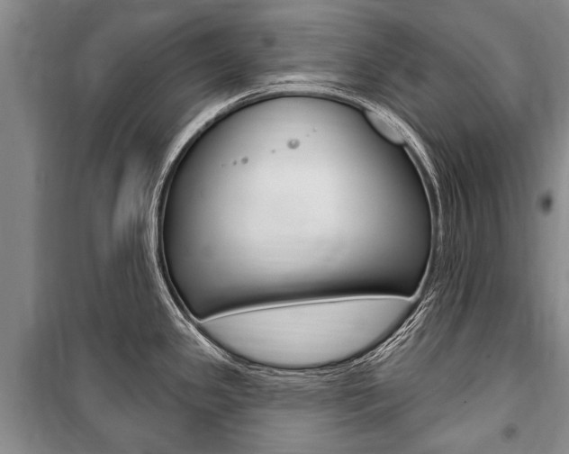 X0000101151341200806270751
