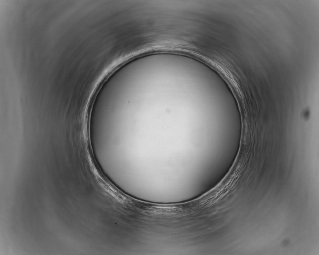 X0000101151342200806270751