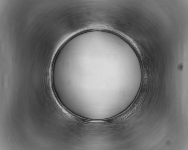 X0000101151343200806270751