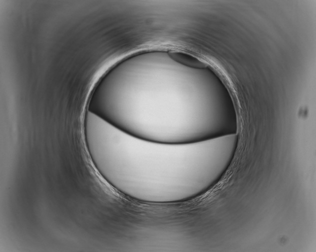 X0000101151344200806270751