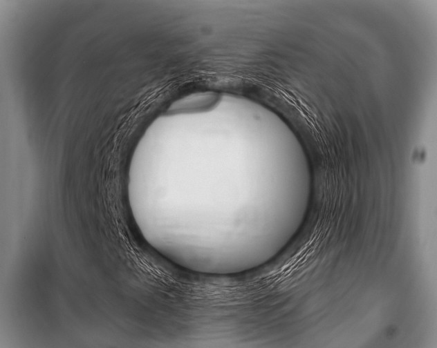 X0000101151345200806270750