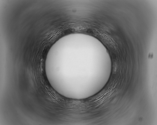 X0000101151346200806270750