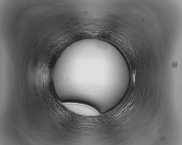 X0000101151347200806270750