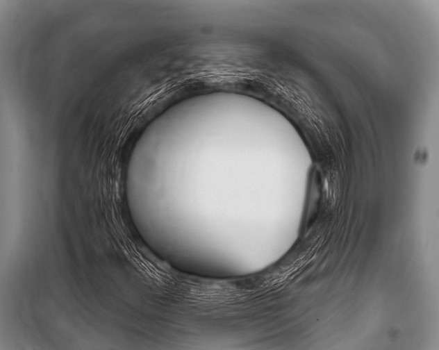 X0000101151348200806270750