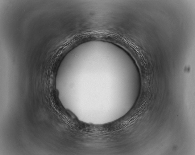 X0000101151349200806270750