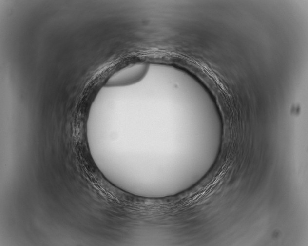 X0000101151350200806270750