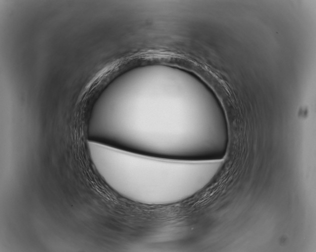 X0000101151351200806270750