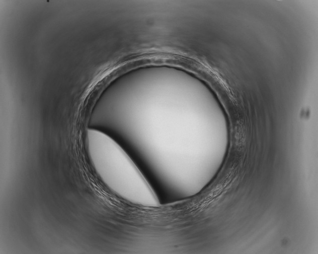 X0000101151352200806270750