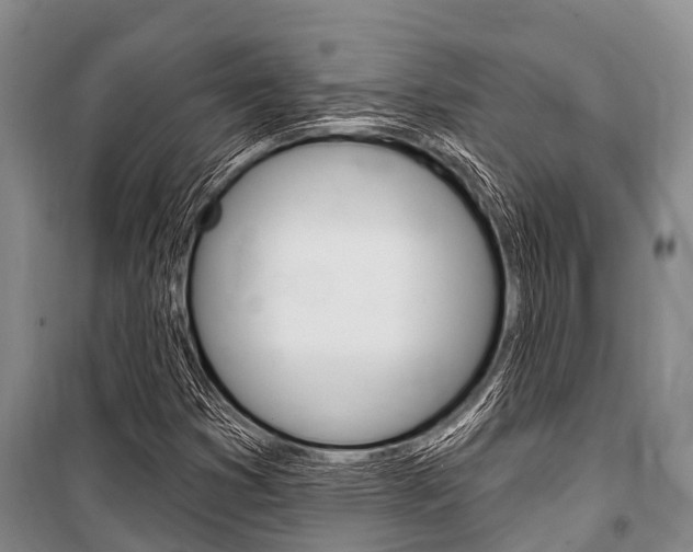 X0000101151353200806270750