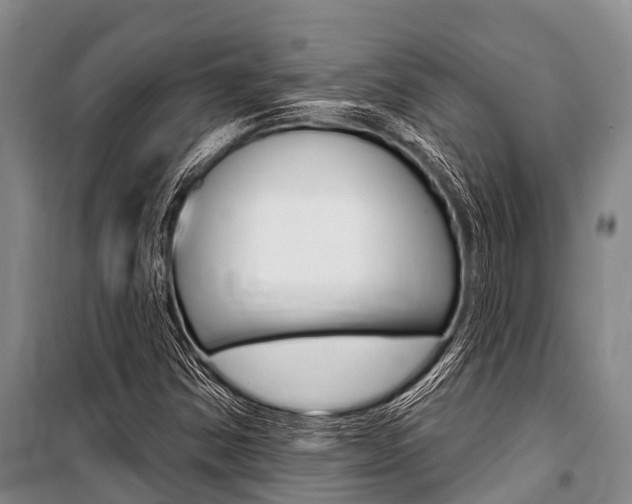 X0000101151354200806270750