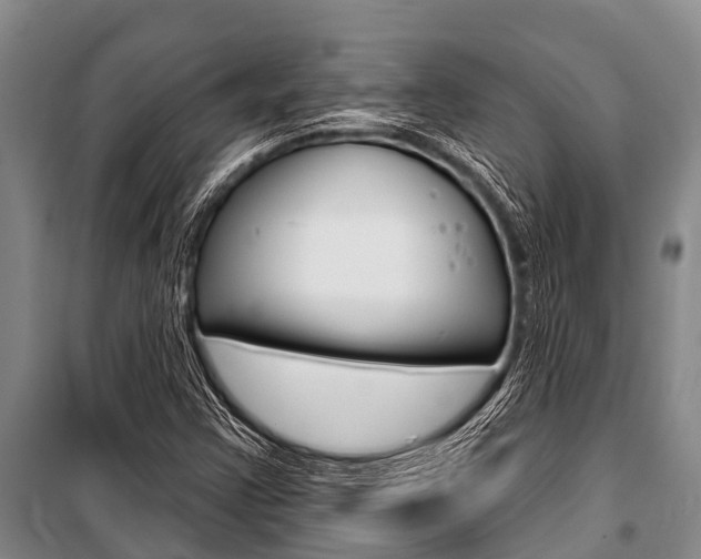 X0000101151355200806270750