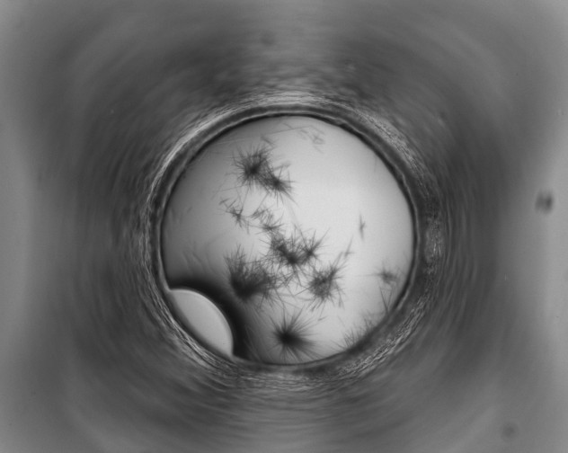 X0000101151356200806270750