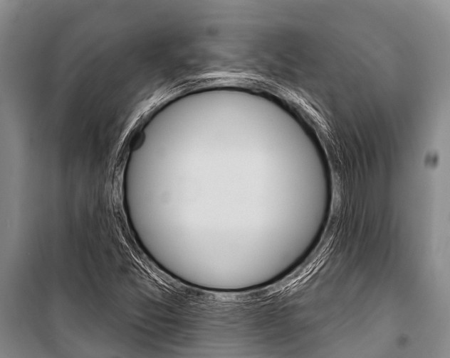 X0000101151357200806270750
