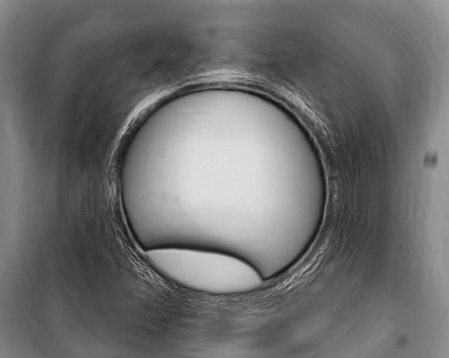 X0000101151358200806270750
