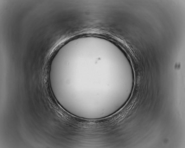 X0000101151359200806270750