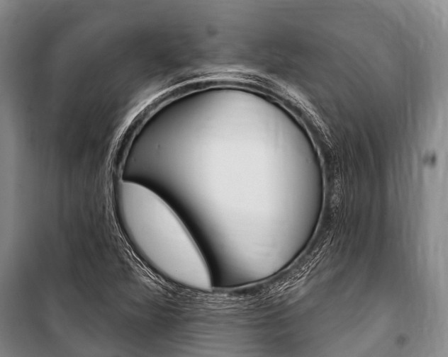 X0000101151360200806270750