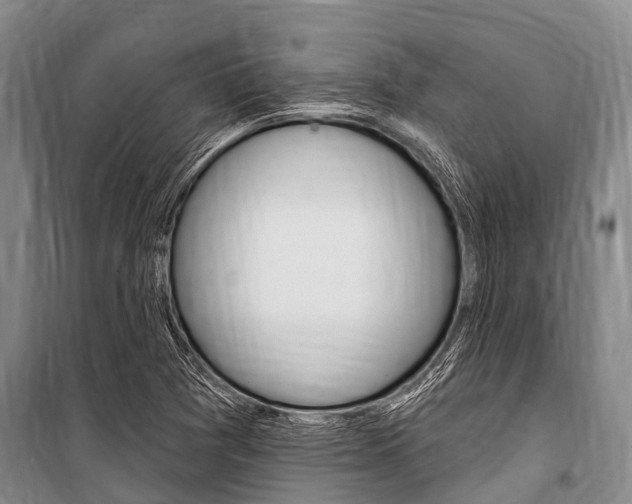 X0000101151361200806270750