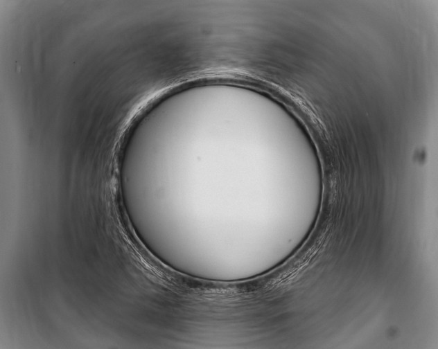 X0000101151363200806270750