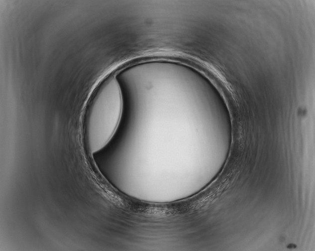 X0000101151364200806270750