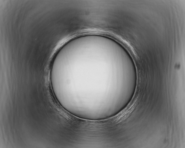 X0000101151365200806270750