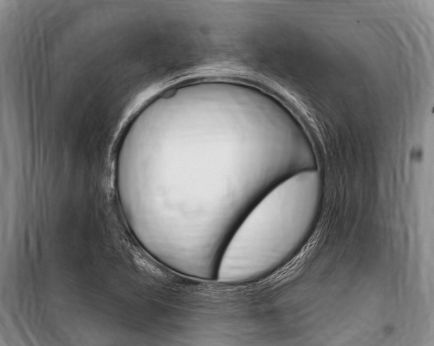 X0000101151366200806270750