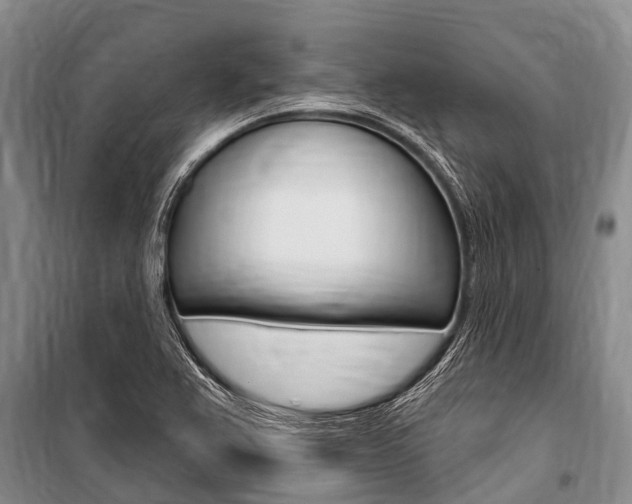 X0000101151367200806270750