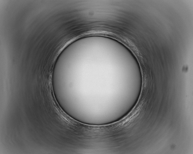 X0000101151369200806270750