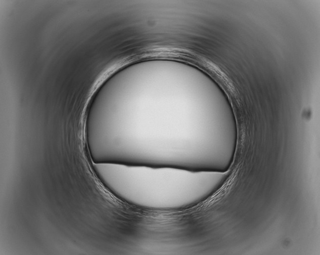 X0000101151370200806270750