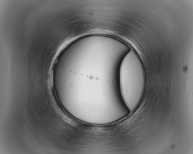 X0000101151371200806270750