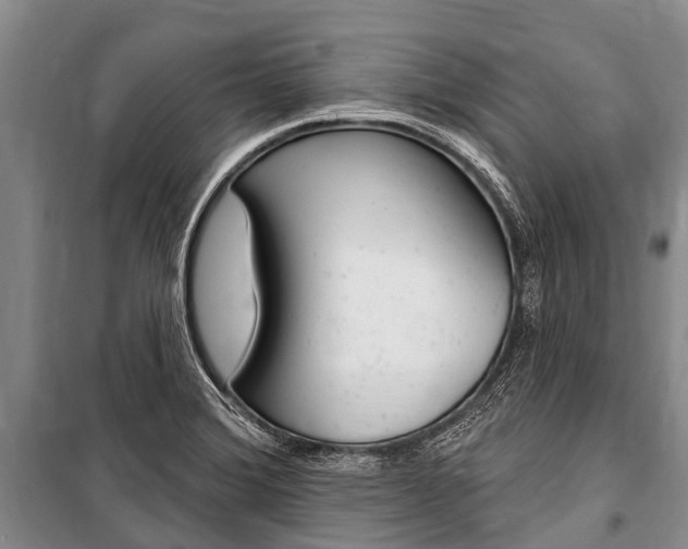 X0000101151372200806270750