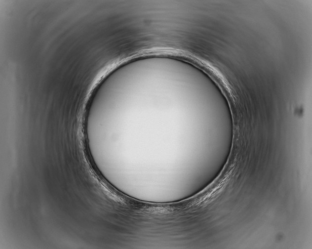 X0000101151373200806270750