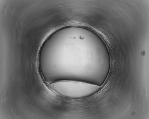 X0000101151375200806270750