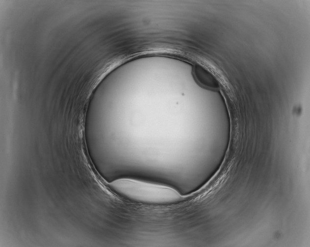 X0000101151377200806270749