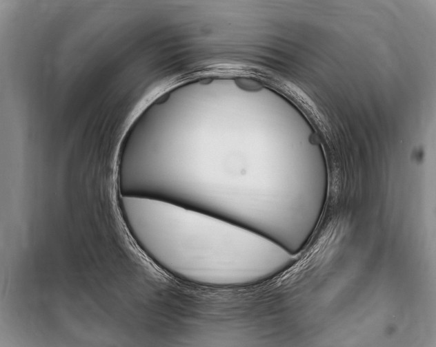 X0000101151378200806270749