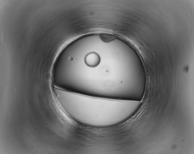 X0000101151379200806270749