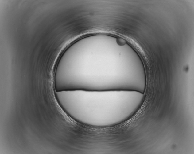 X0000101151380200806270749