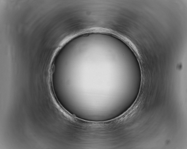 X0000101151381200806270749