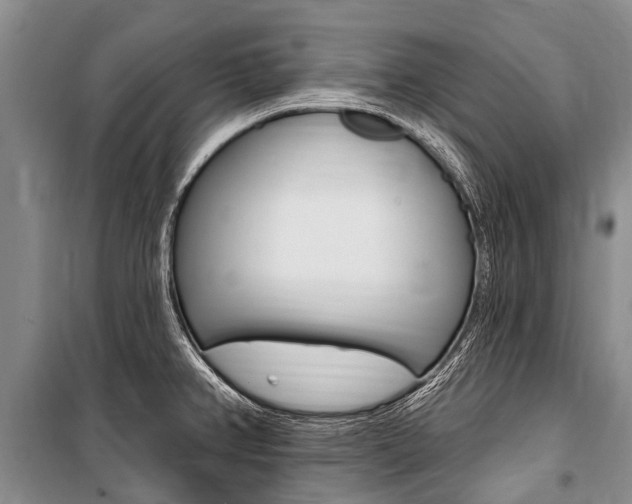 X0000101151382200806270749