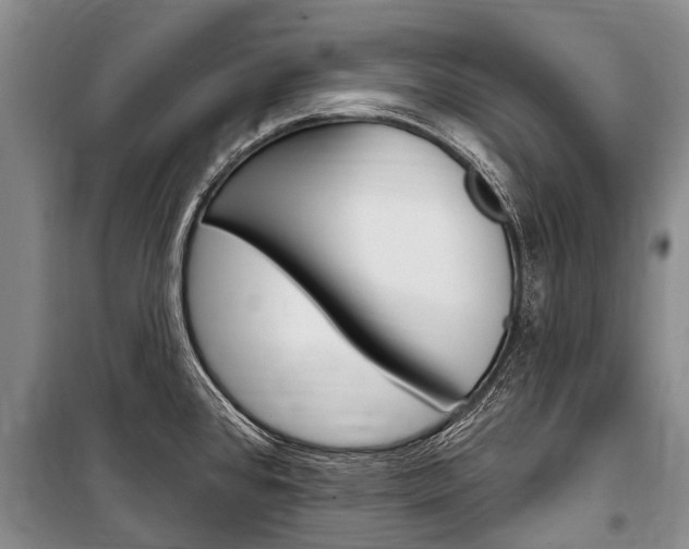 X0000101151384200806270749
